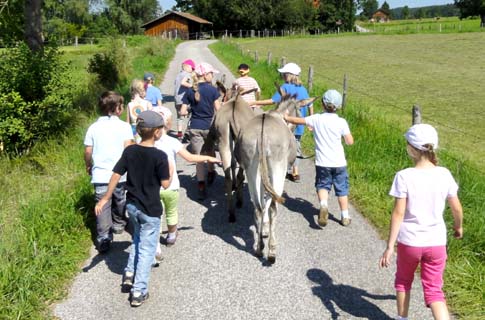 Kinderwanderung mit Eseln